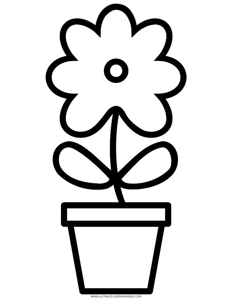 A simple Flower Pot