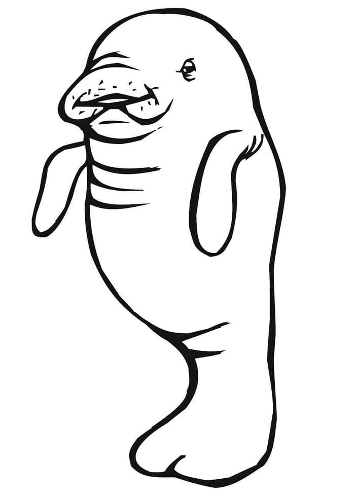 A simple Manatee