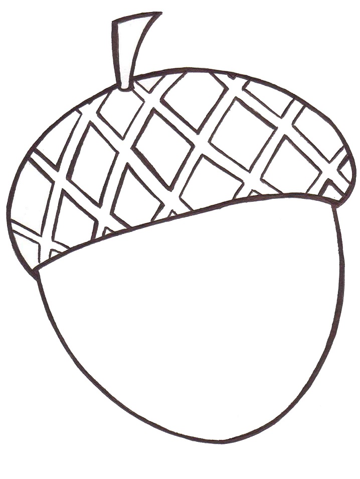 Acorn Coloring - Play Free Coloring Game Online