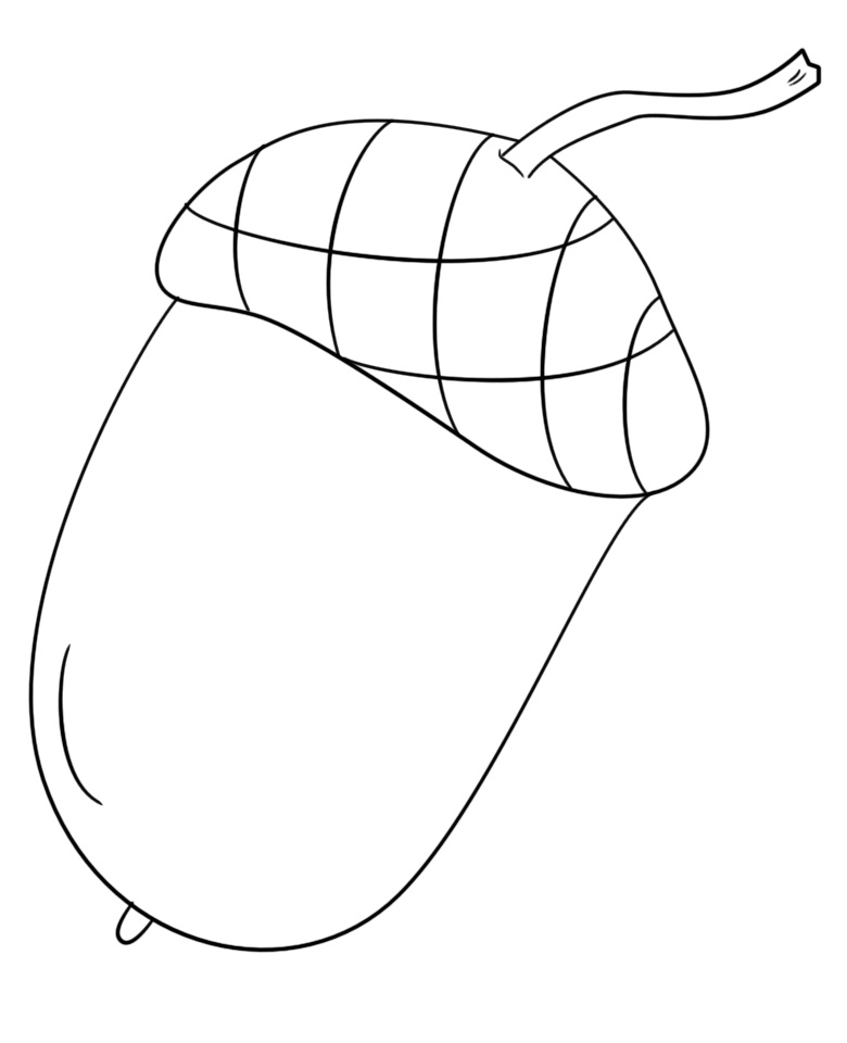 Acorn 3