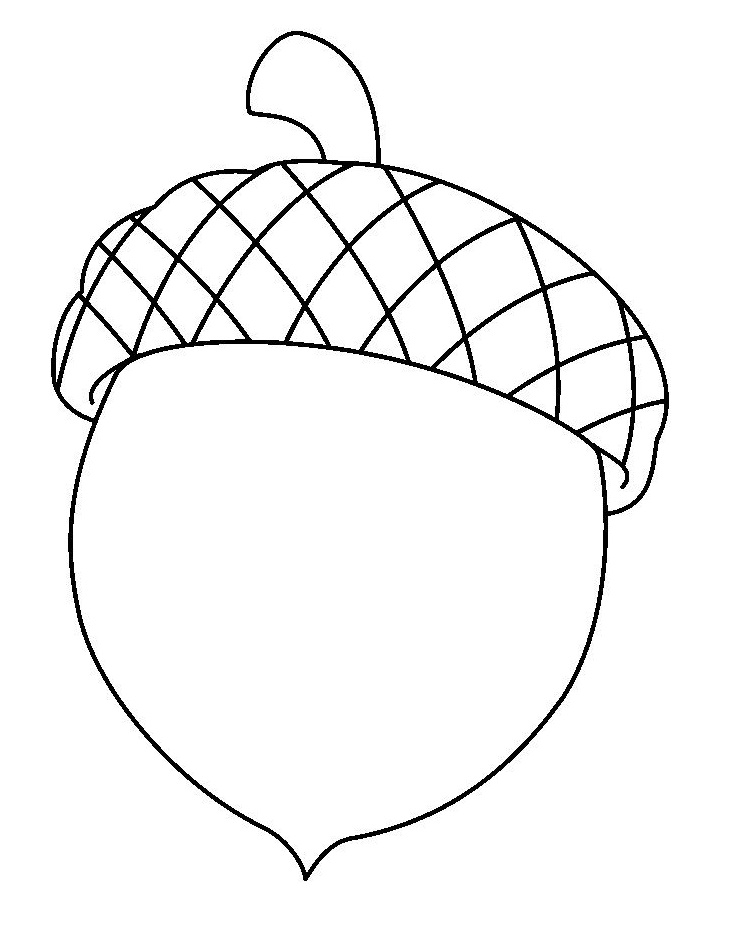 Acorn