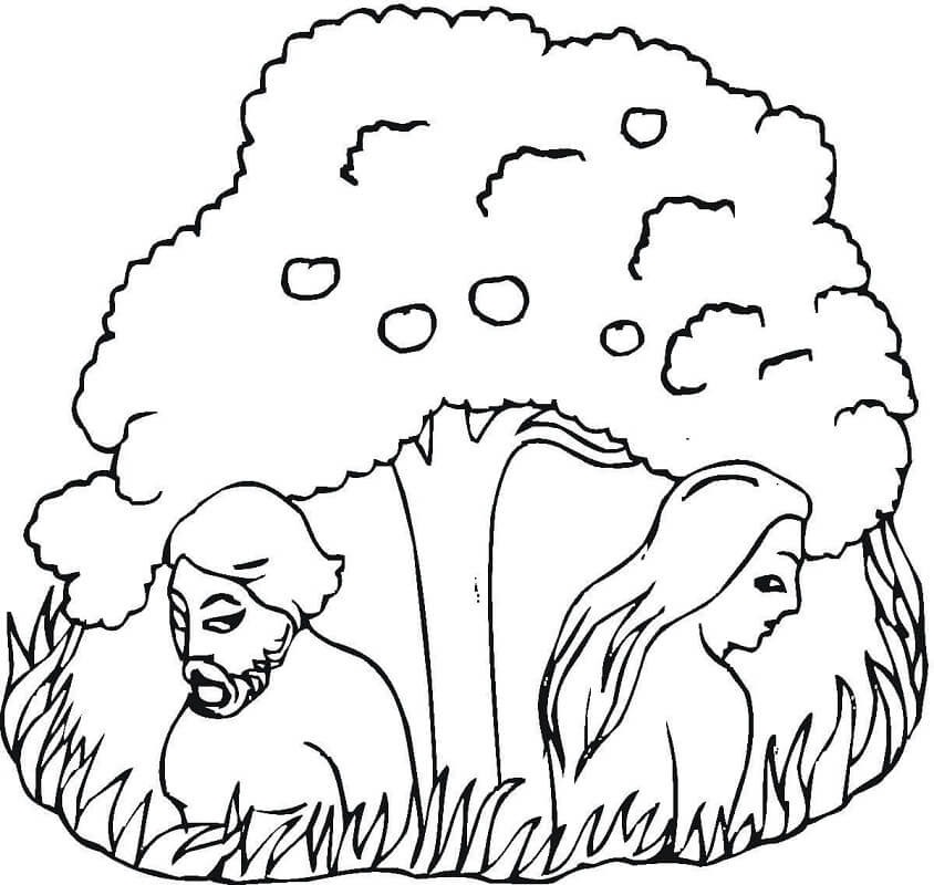 Adam and Eve Under The Tree Coloring Game Adam and Eve Under The Tree