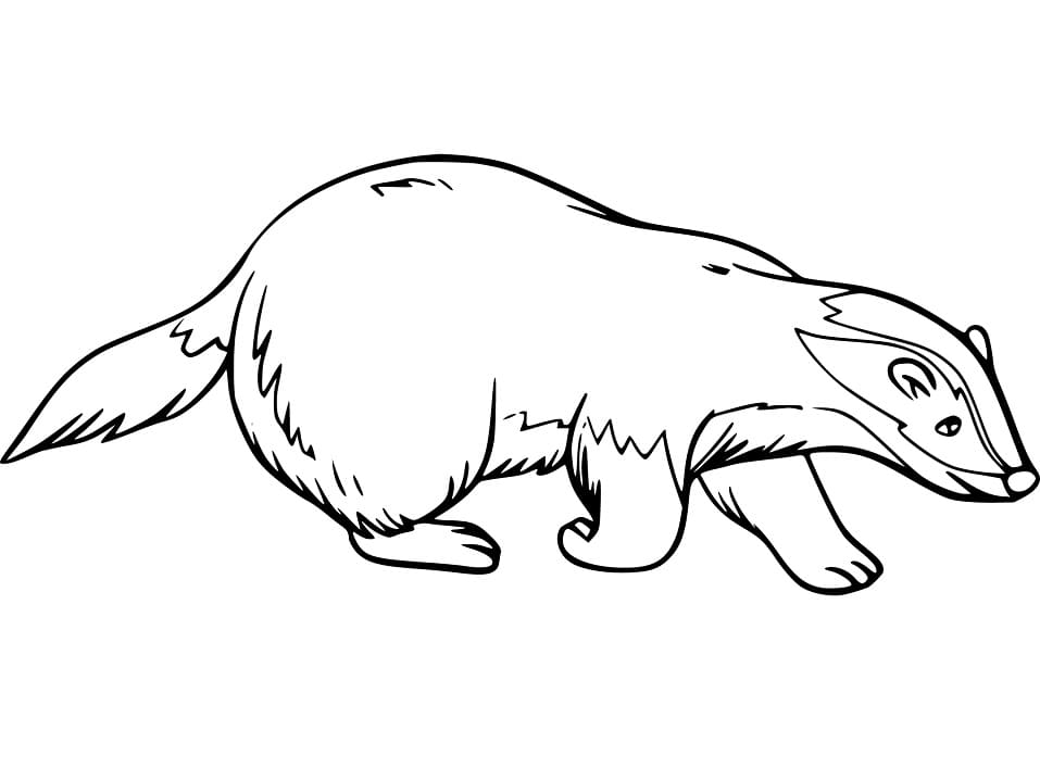 Adorable Badger Coloring Game Adorable Badger
