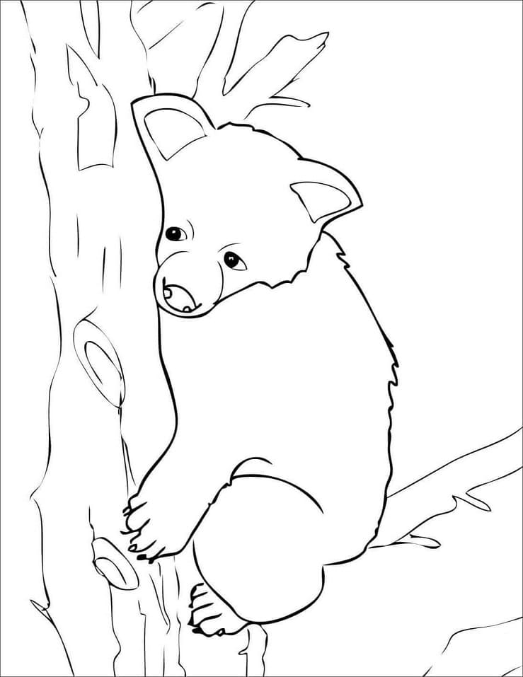 Adorable Brown Bear Coloring Game Adorable Brown Bear