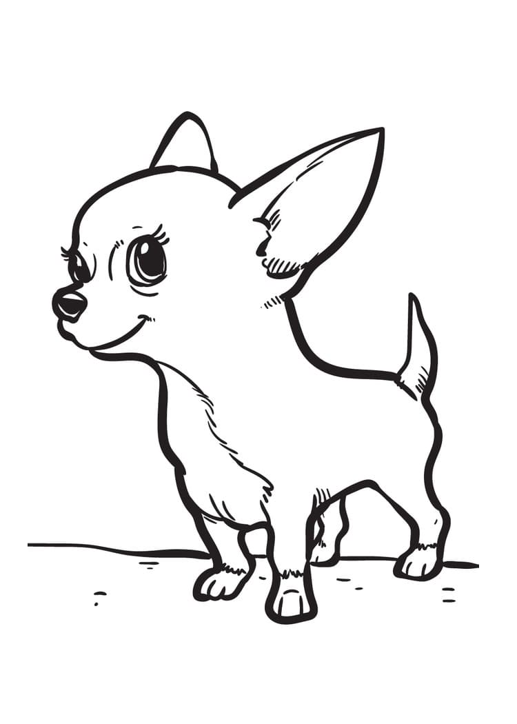 Adorable Chihuahua Dog Coloring Game Adorable Chihuahua Dog