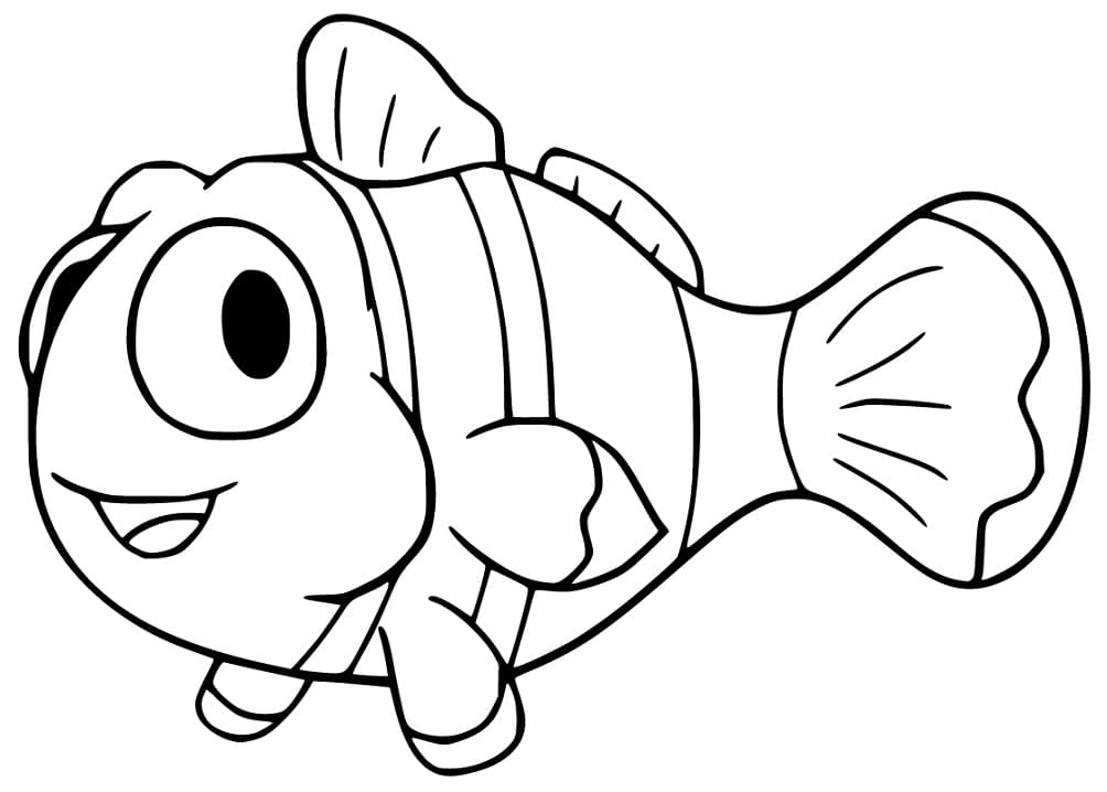 Clownfish