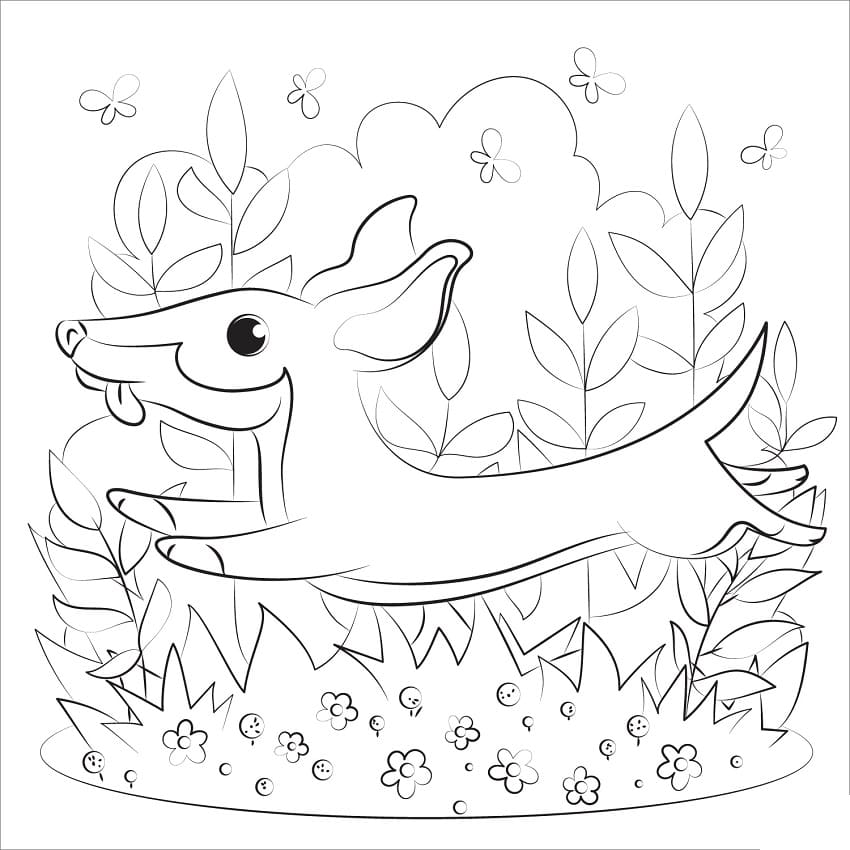 Adorable Dachshund Coloring Game Adorable Dachshund