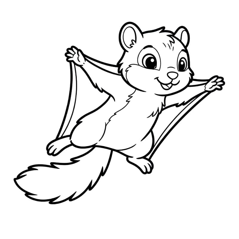Adorable Flying Squirrel