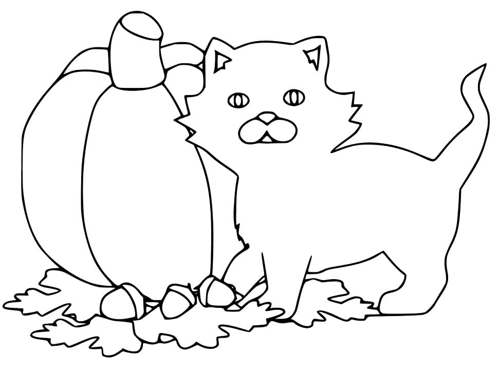 Adorable Hallween Cat Coloring Game Adorable Hallween Cat