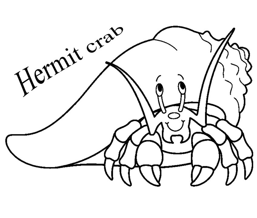 Adorable Hermit Crab Coloring Game Adorable Hermit Crab