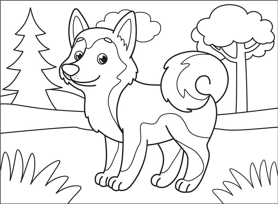 Adorable Husky Coloring Game Adorable Husky