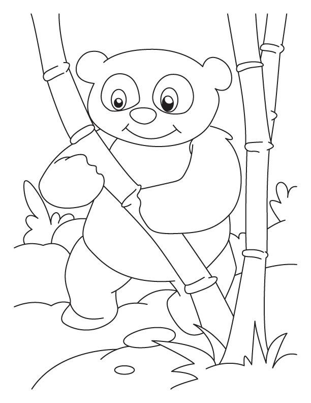 Adorable Panda Coloring Game Adorable Panda