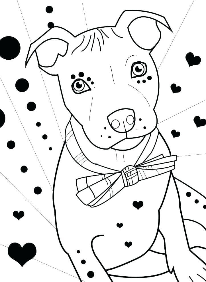 Adorable Pitbull Coloring Game Adorable Pitbull