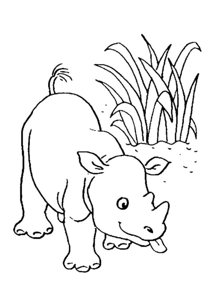 Adorable Rhino Coloring Game Adorable Rhino