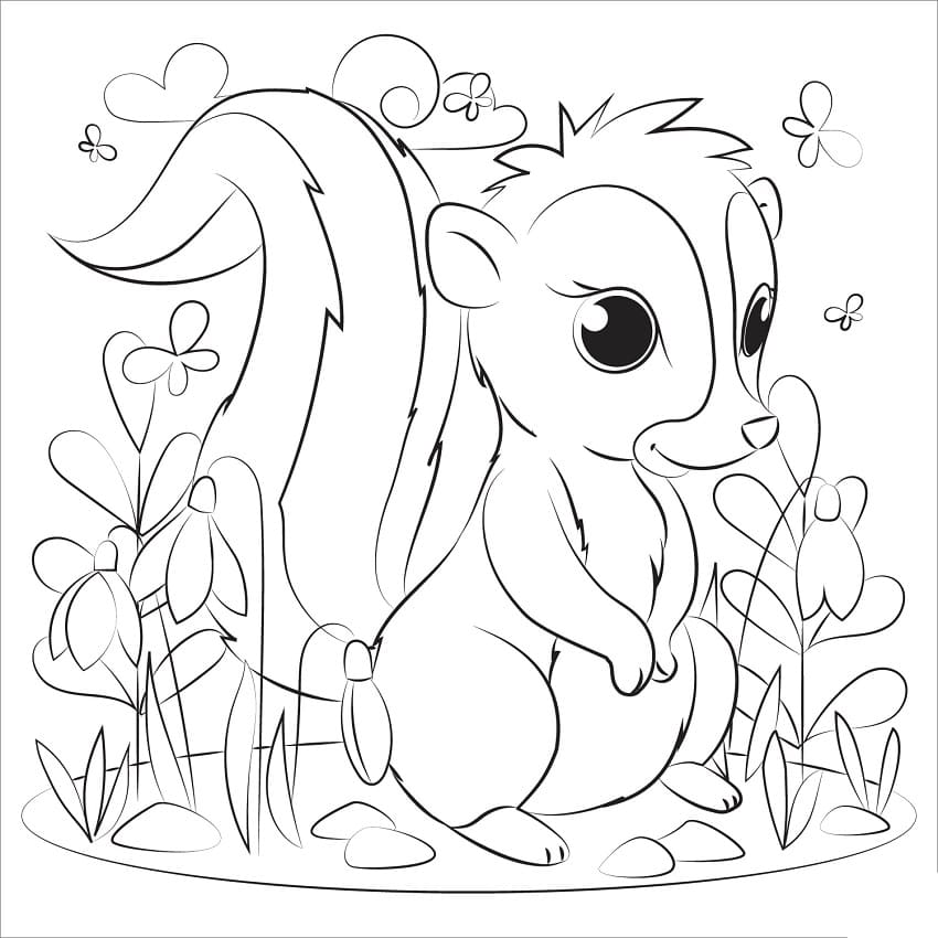 Adorable Skunk