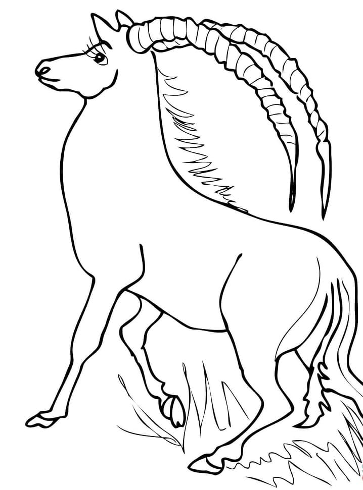 Africa Sable Antelope