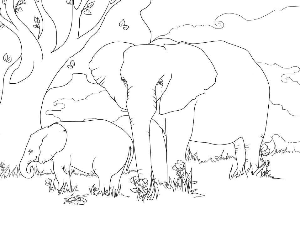 African Bush Elephants Coloring Game African Bush Elephants