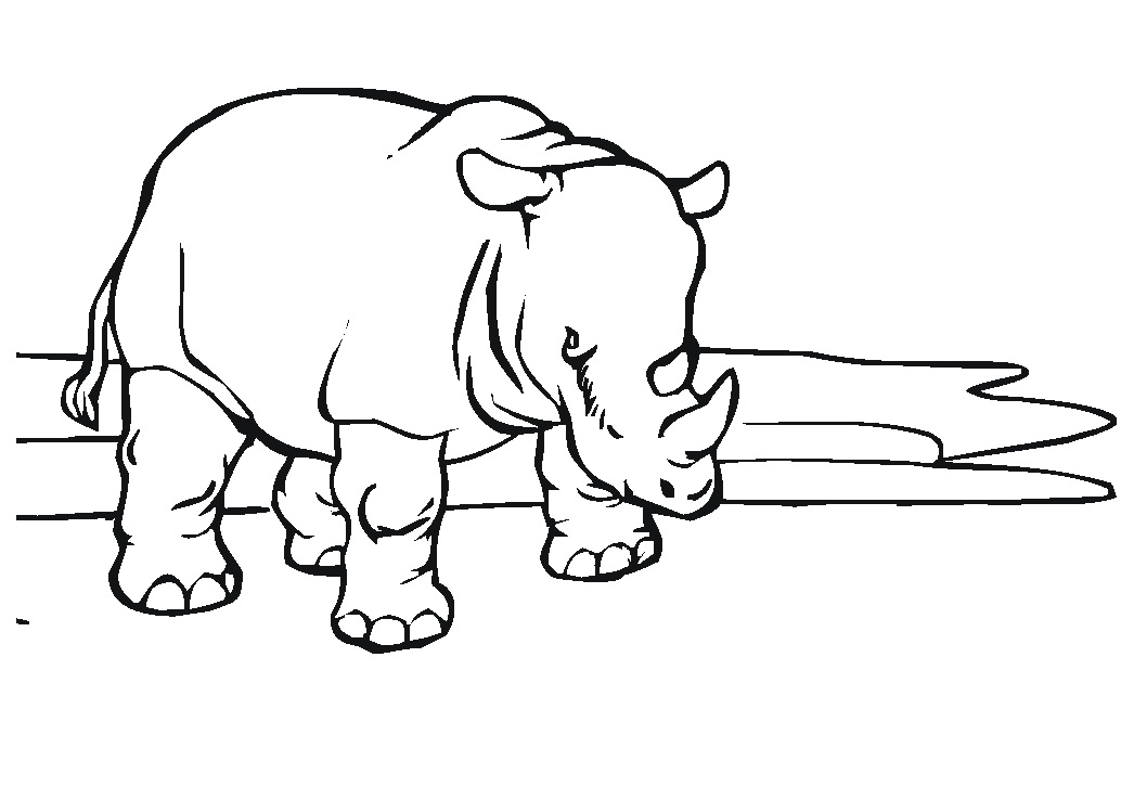 African Rhinoceros Coloring Game African Rhinoceros