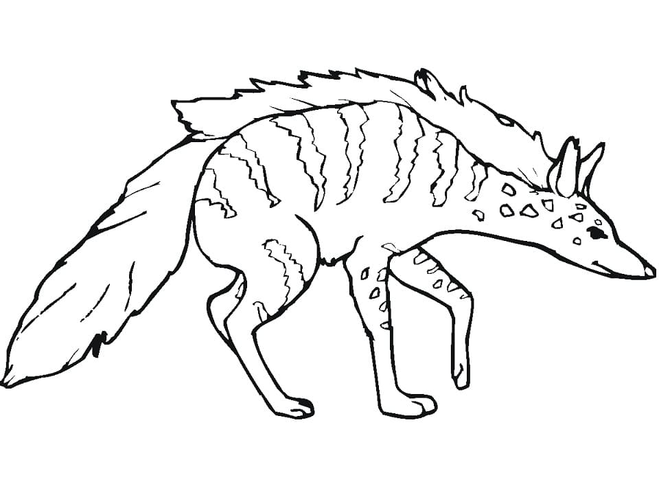 African Striped Hyena Coloring Game African Striped Hyena