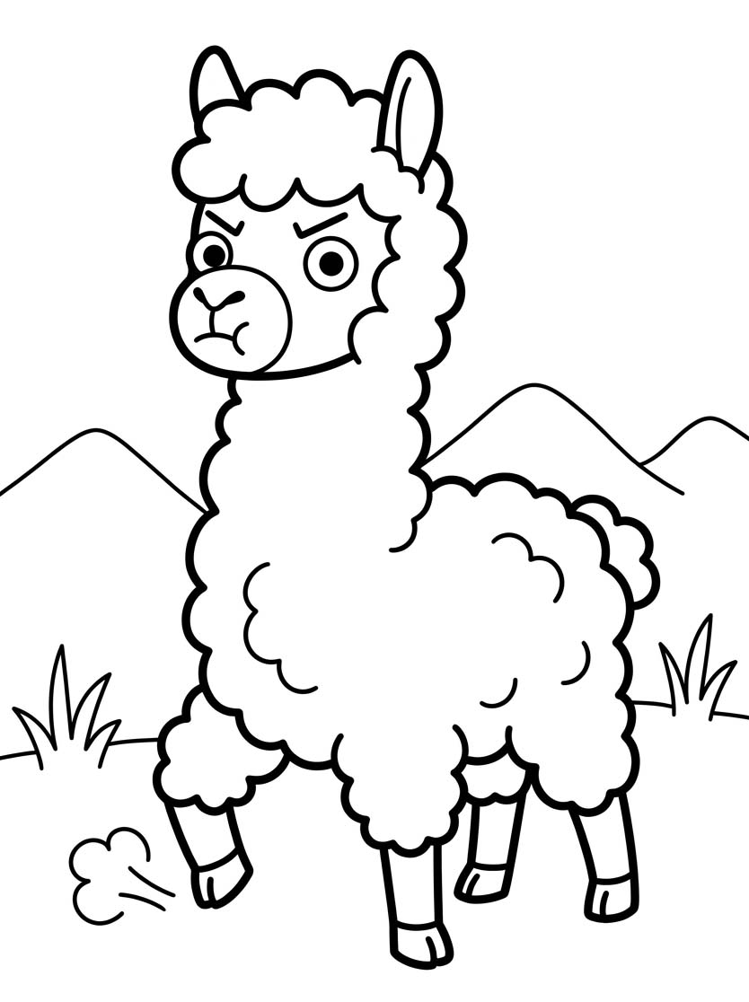 Alpaca Basic