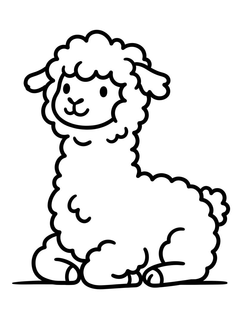 Alpaca Easy