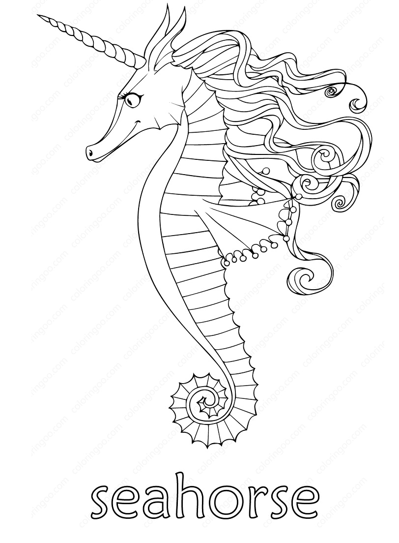 Amazing Seahorse Coloring Game Amazing Seahorse