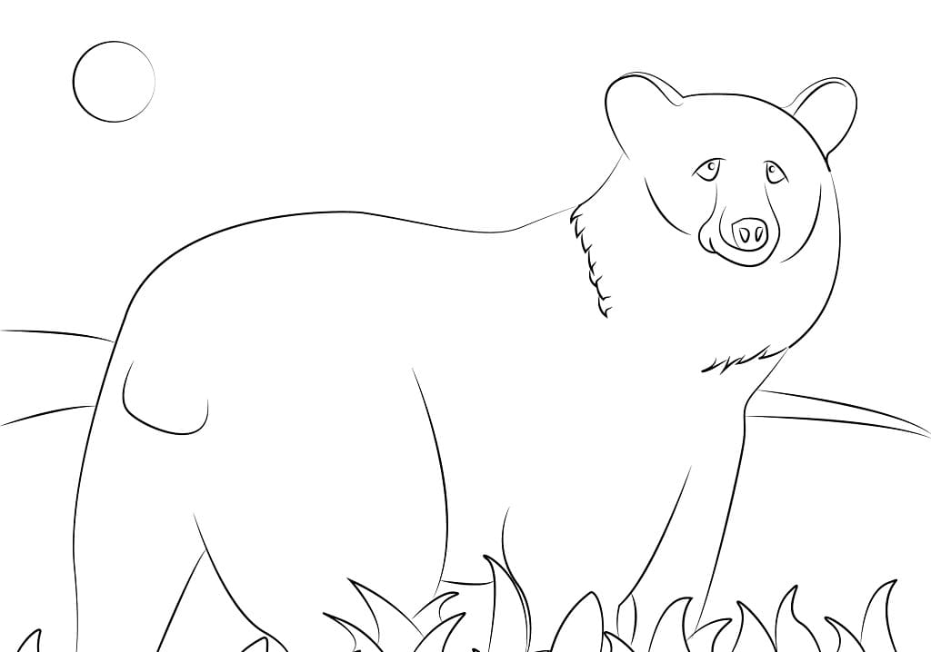 American Black Bear 2 Coloring Game American Black Bear 2