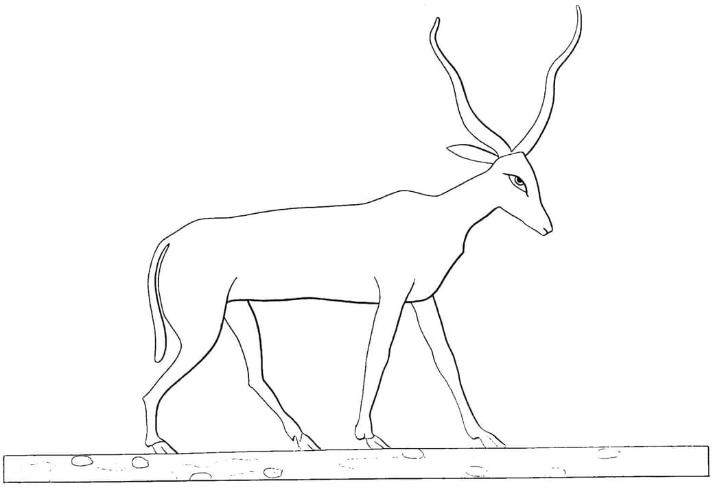 Ancient Egyptian Antelope