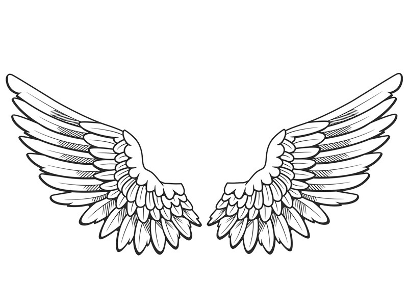 Angel Wings 3