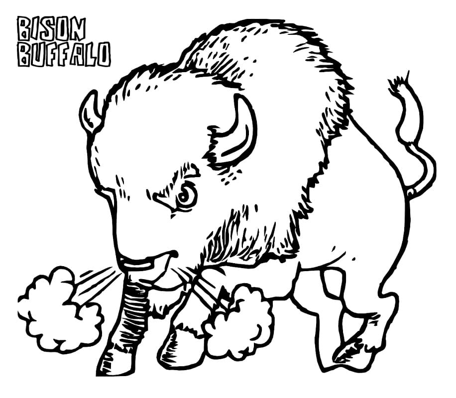Angry Bison 1 Coloring Game Angry Bison 1