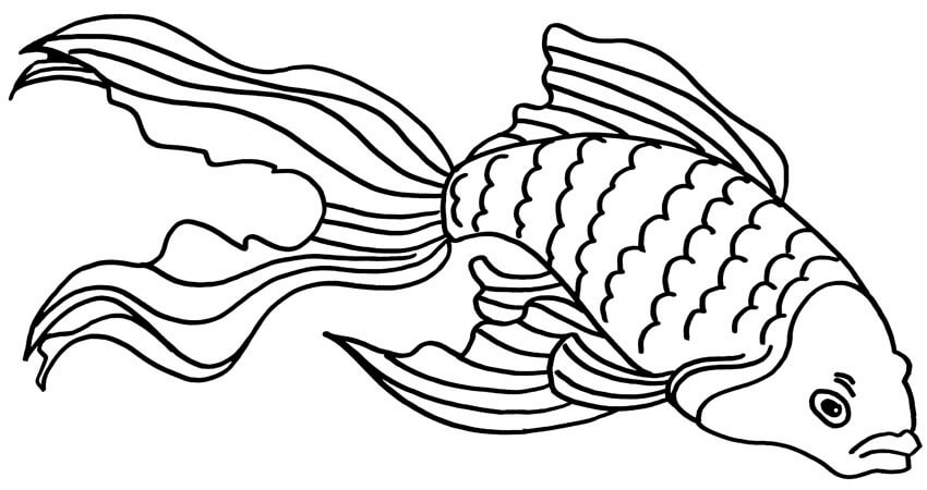 Goldfish Coloring Games - ColoringGames.Net