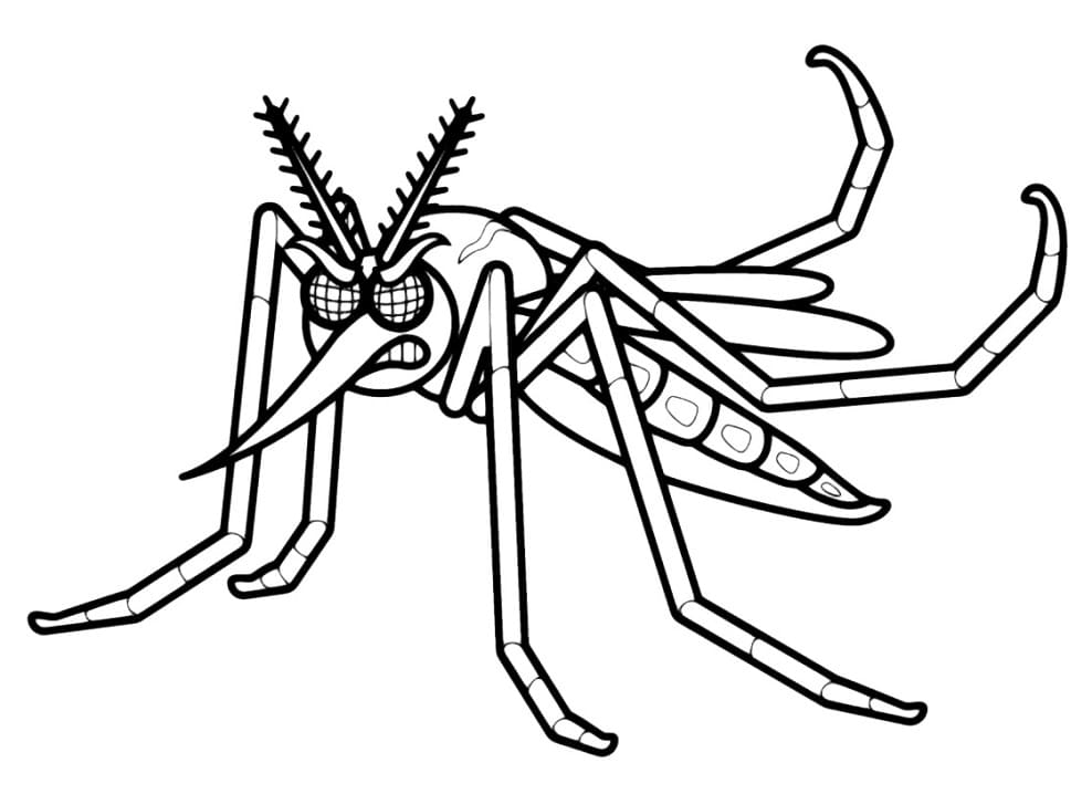 Angry Mosquito