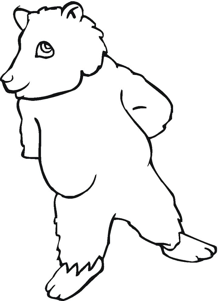 Animated Brown Bear Coloring Game Animated Brown Bear
