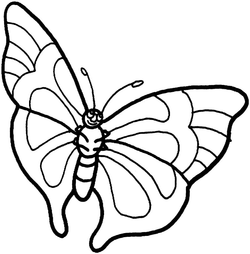 Animated Butterfly