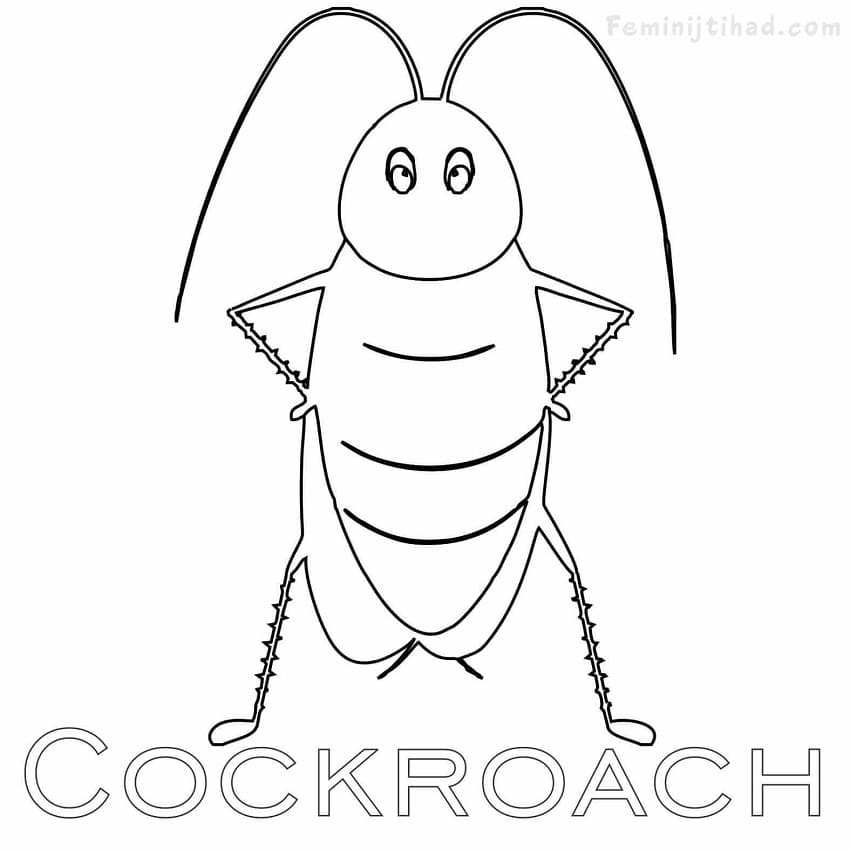 Animated Cockroach Coloring Game Animated Cockroach