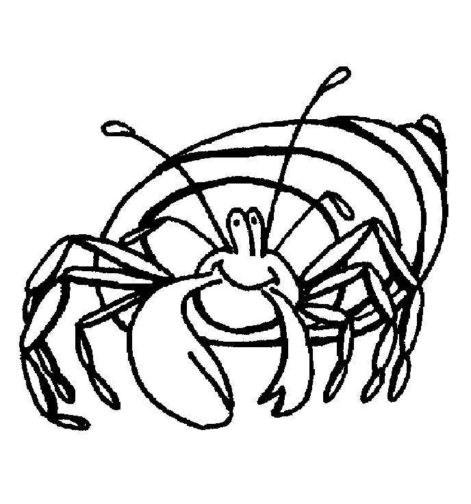 Animated Hermit Crab Coloring Game Animated Hermit Crab