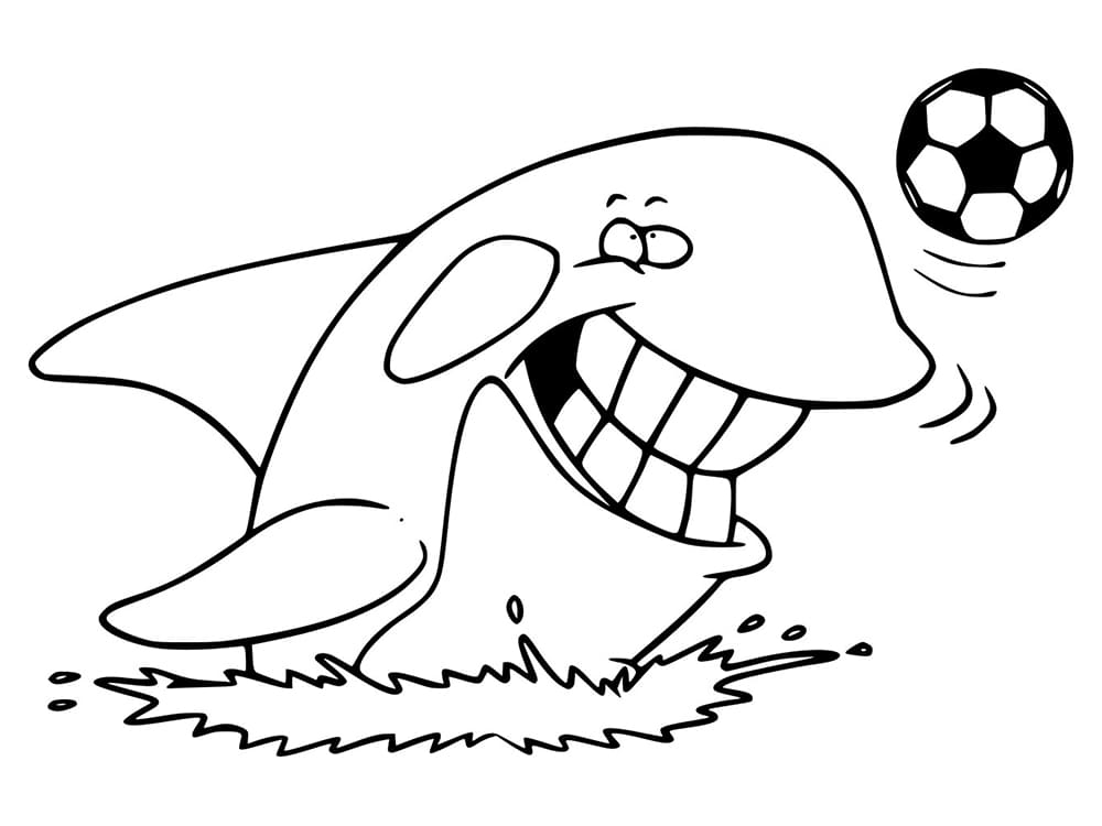 Animated Killer Whale