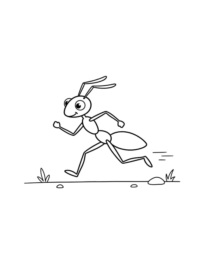 Ant Easy