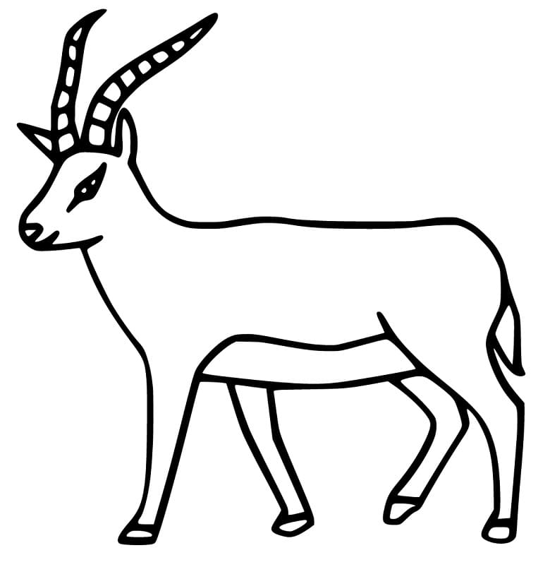 Antelope 2
