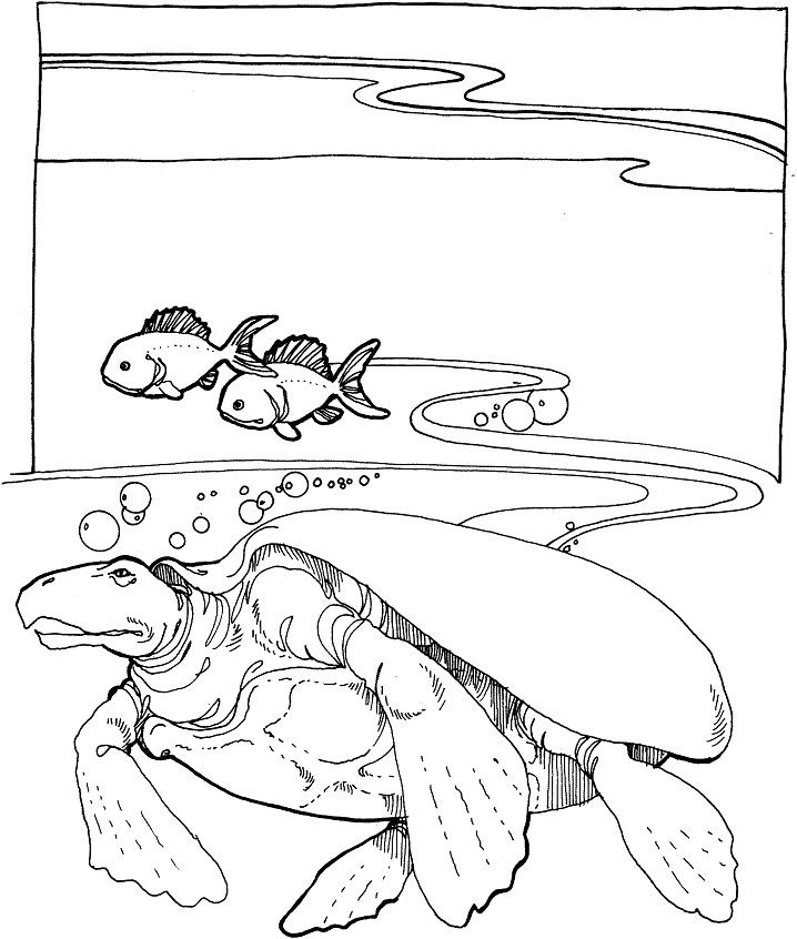 Archelon Extinct Sea Turtle Coloring Game Archelon Extinct Sea Turtle