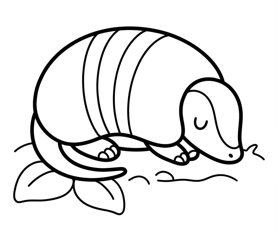 Armadillo Easy