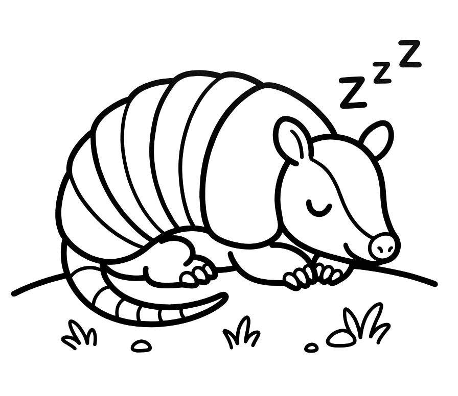 Armadillo Free Printable