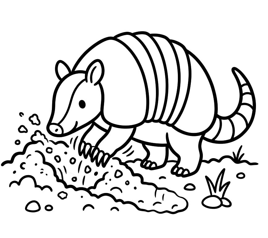 Armadillo Free