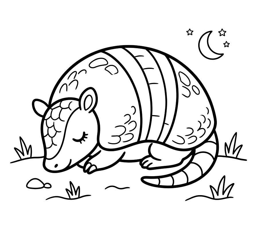 Armadillo Simple