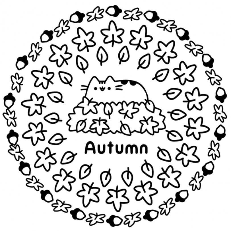 Autumn Pusheen