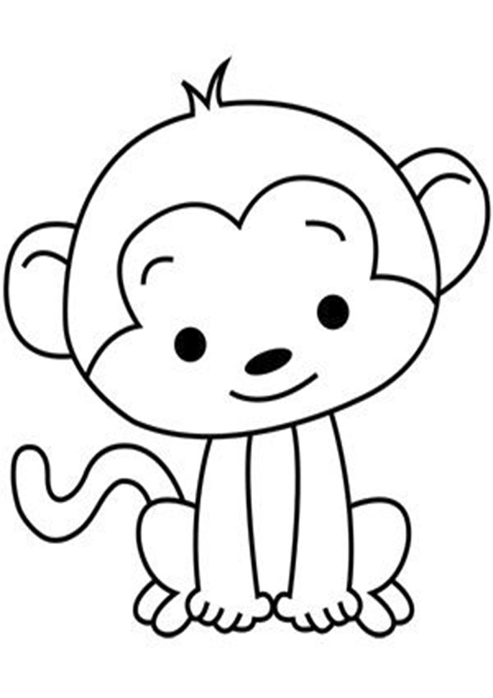 Baby Monkey