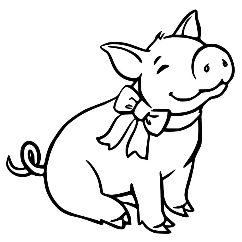 Baby Pig 5