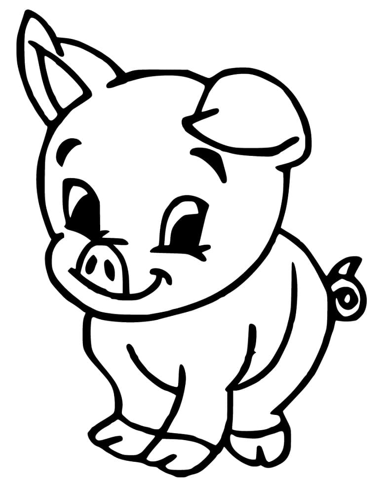 Baby Pig 6