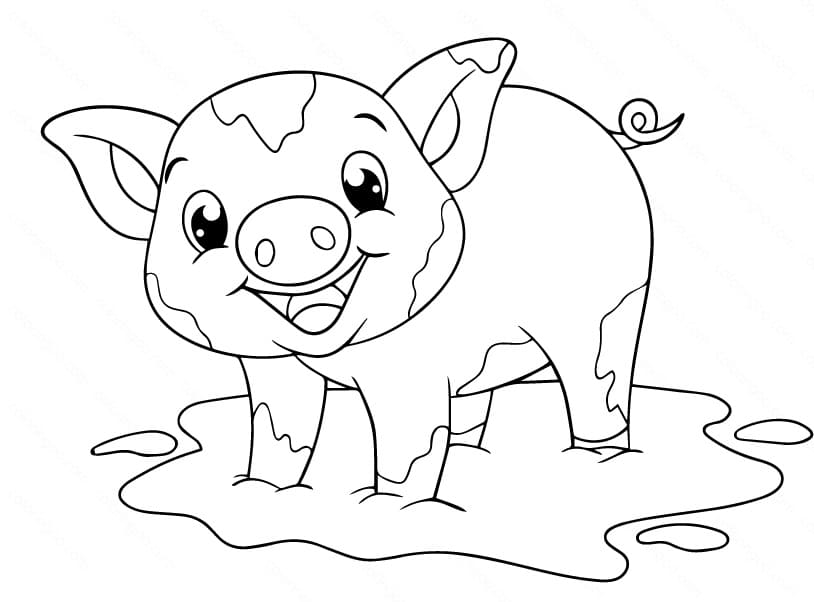 Baby Pig is Smiling Coloring Game Baby Pig is Smiling
