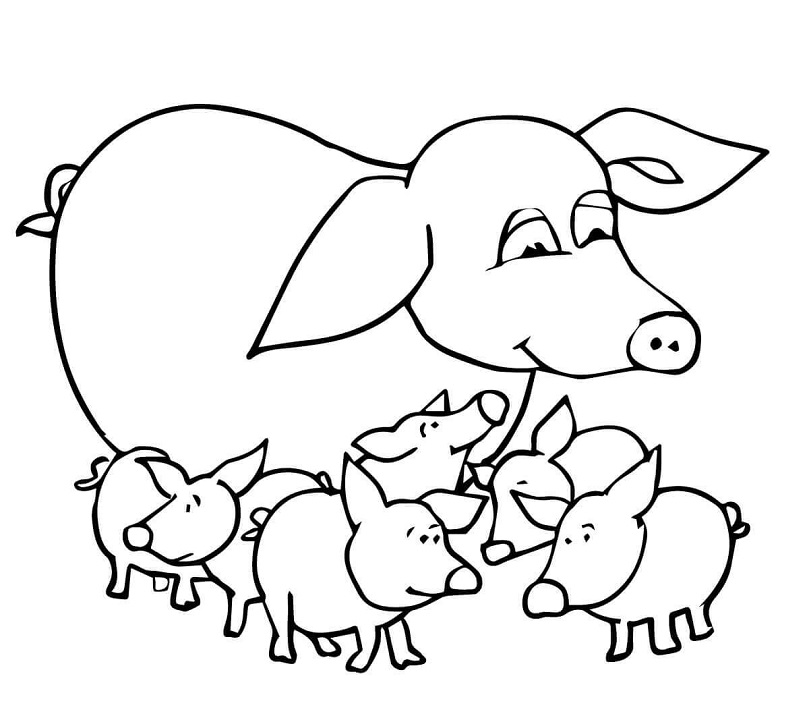 Baby Pigs and Mother Coloring Game Baby Pigs and Mother